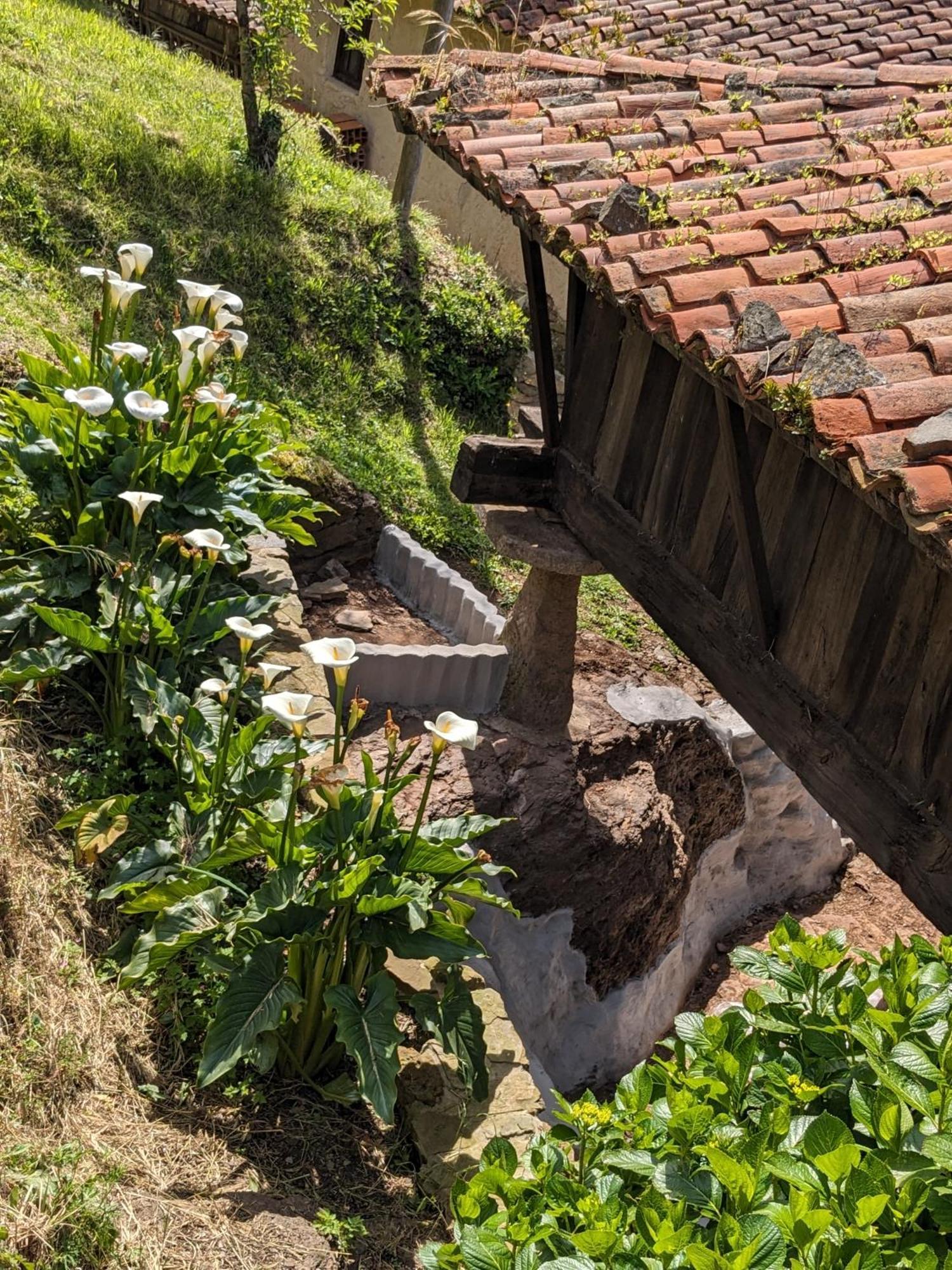 Las Casas De Isu Villaviciosa  Bagian luar foto